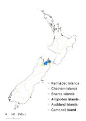 Veronica rigidula var. rigidula distribution map based on databased records at AK, CHR & WELT.
 Image: K.Boardman © Landcare Research 2022 CC-BY 4.0